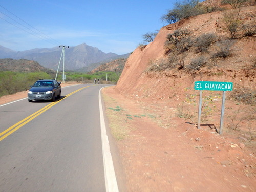 El Guguayacan.